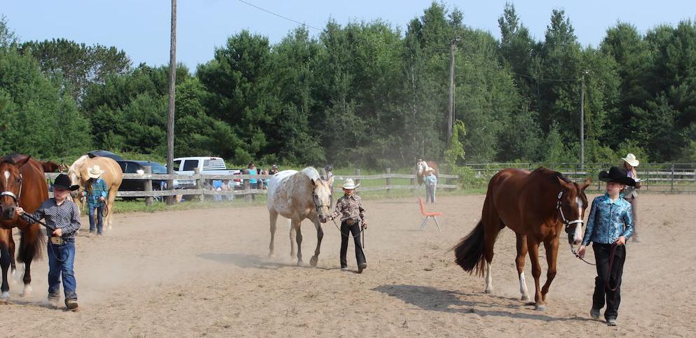 Saddle Club show